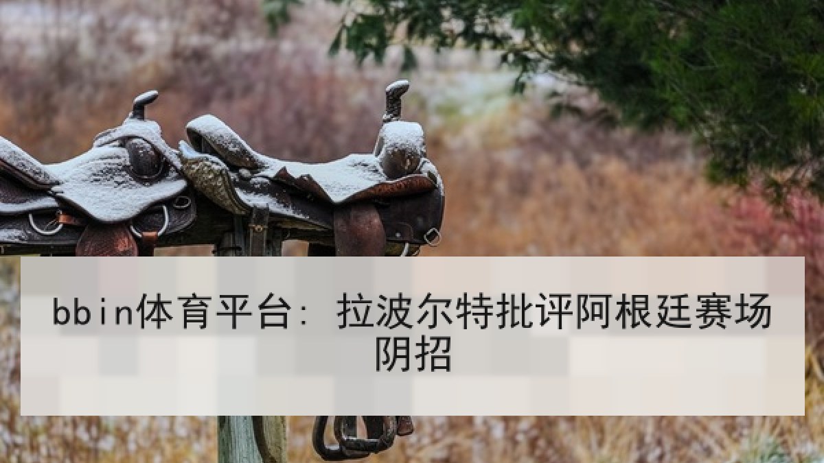 bbin体育平台: 拉波尔特批评阿根廷赛场阴招 bbin体育平台: 拉波尔特批评阿根廷赛场阴招